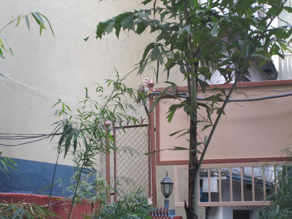 Tasi Dhargey Inn Κατμαντού Εξωτερικό φωτογραφία
